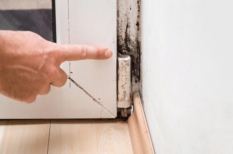 Mold Inspection San Diego