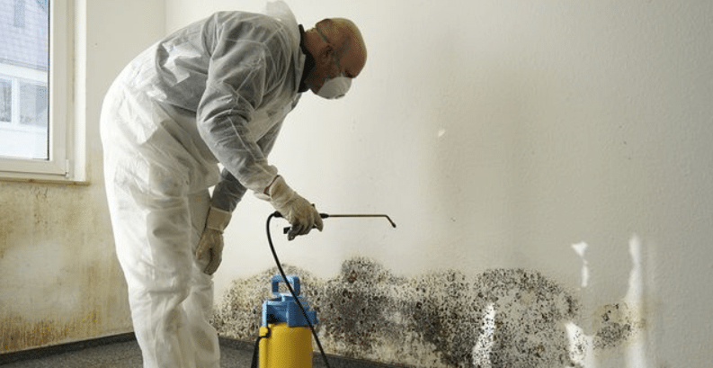 San Diego Mold Inspection Company