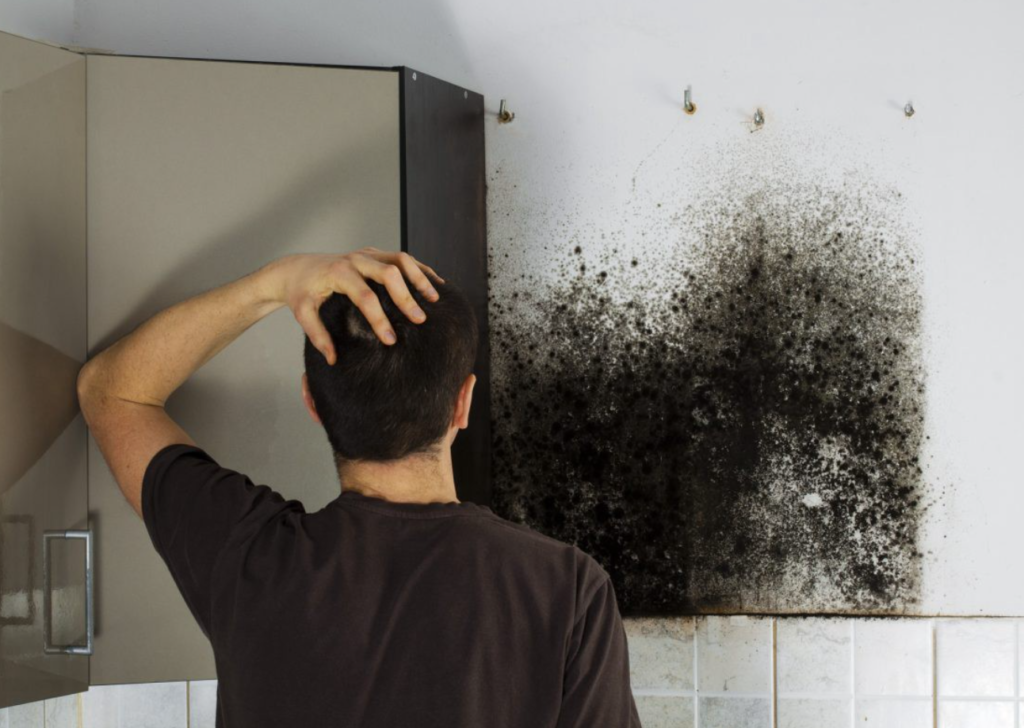 Smoke Damage Cleaning San Diego