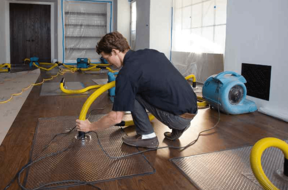 Best Water Remediation Company San Diego