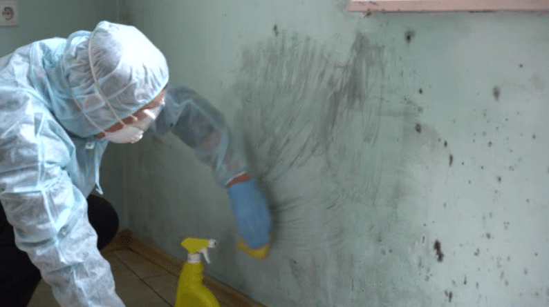 Mold Abatement San Diego