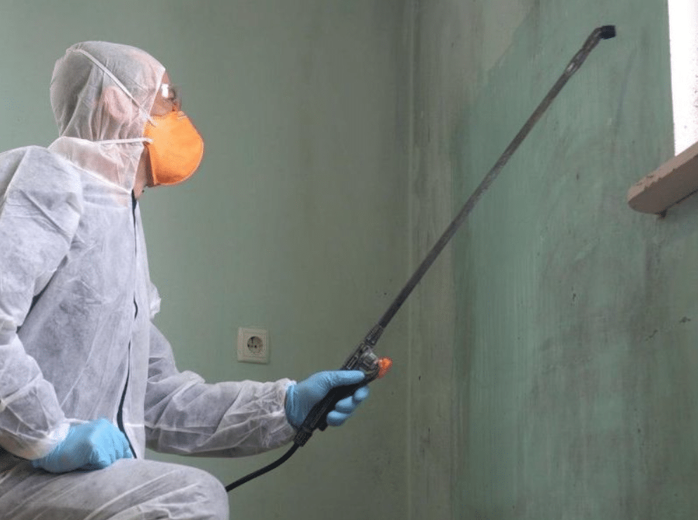 Mold Remediation Company