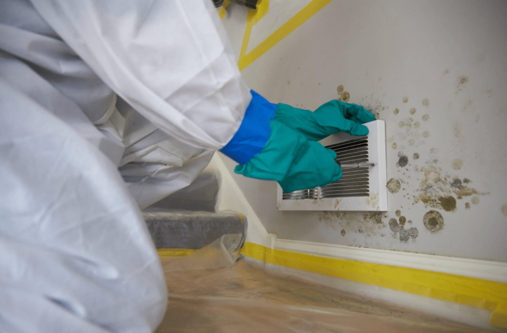 Mold Remediation San Diego