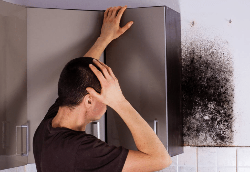 San Diego Mold Inspection Service