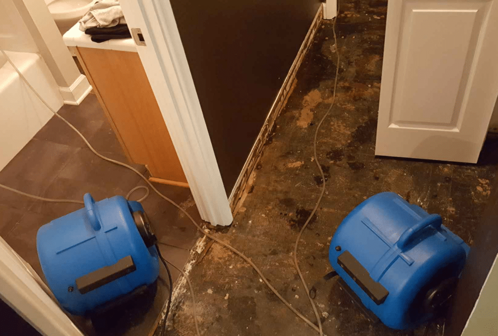 Water Damage Remediation Services In San Diego