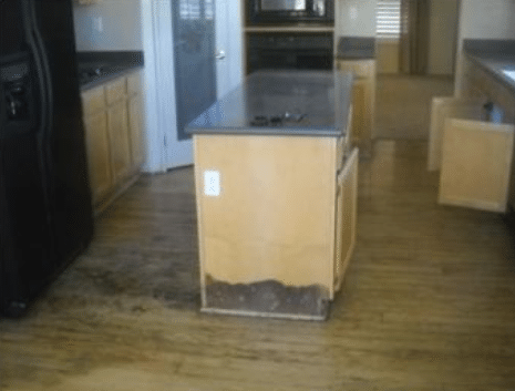 Kitchen Water And Mold Damage In San Diego