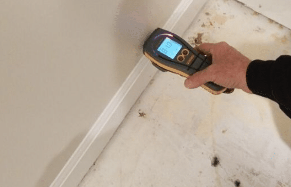 Drying Water Damaged Walls Can Save Your Home San Diego