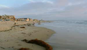 Pacific Beach Water Damage Restorage